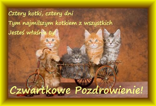 Czerwone pozdrowienia czwartkowe